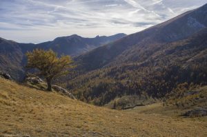 vallée-des-merveilles