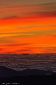 photo-nature-lumière