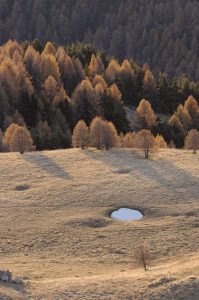 paysage-mélèzes-automne