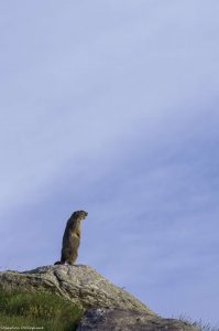 vallée-des-merveilles