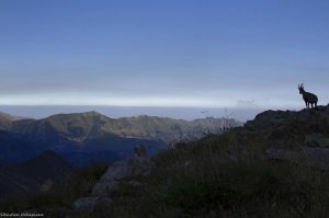 alpes-ligures-mercantour