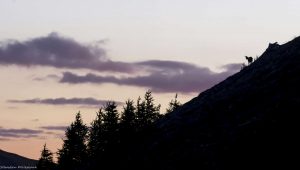 photo-mercantour-parc-national