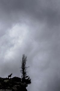 vallée-des-merveilles