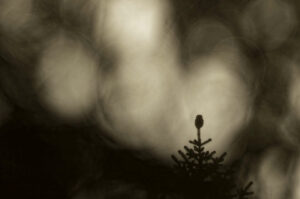 couette-montagne-photo