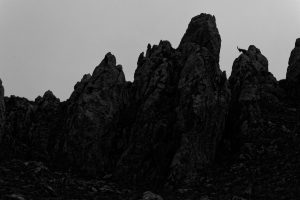 bouquetin-mercantour